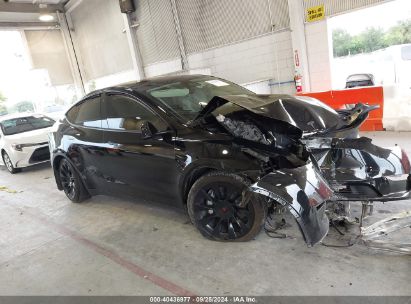 Lot #2994067968 2023 TESLA MODEL Y AWD/LONG RANGE DUAL MOTOR ALL-WHEEL DRIVE