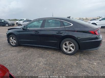 Lot #2990350269 2020 HYUNDAI SONATA SE