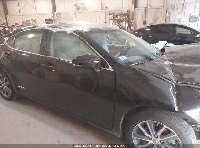 Lot #3005351059 2016 LEXUS ES 300H