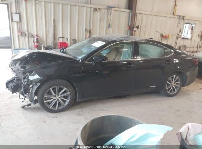 Lot #3005351059 2016 LEXUS ES 300H