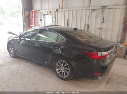 Lot #3005351059 2016 LEXUS ES 300H