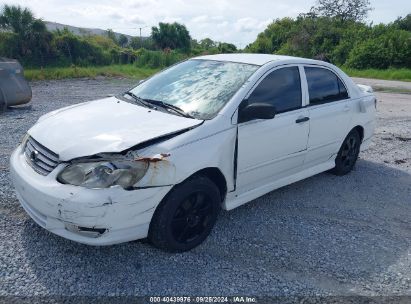 Lot #3052076930 2003 TOYOTA COROLLA CE