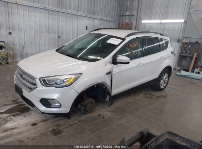 Lot #2992835258 2017 FORD ESCAPE SE