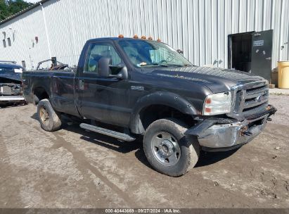 Lot #3035077503 2006 FORD F-250 XL/XLT