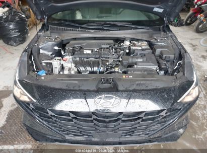 Lot #2992826966 2023 HYUNDAI ELANTRA SEL