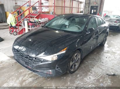 Lot #2992826966 2023 HYUNDAI ELANTRA SEL