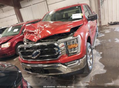 Lot #2989126936 2023 FORD F-150 XLT