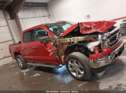 Lot #2989126936 2023 FORD F-150 XLT