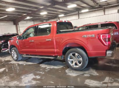 Lot #2989126936 2023 FORD F-150 XLT