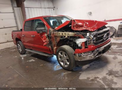 Lot #2989126936 2023 FORD F-150 XLT