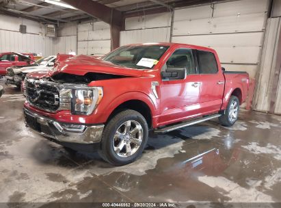 Lot #2989126936 2023 FORD F-150 XLT