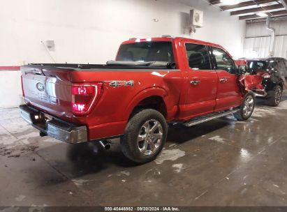 Lot #2989126936 2023 FORD F-150 XLT