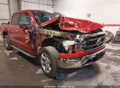 Lot #2989126936 2023 FORD F-150 XLT