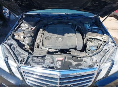 Lot #3035087093 2013 MERCEDES-BENZ E 350