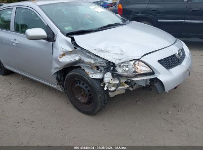 Lot #2997778053 2009 TOYOTA COROLLA LE