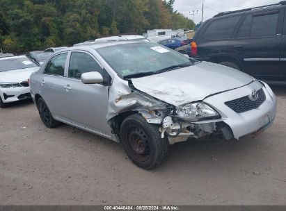 Lot #2997778053 2009 TOYOTA COROLLA LE