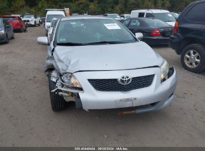 Lot #2997778053 2009 TOYOTA COROLLA LE