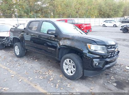 Lot #2992826948 2021 CHEVROLET COLORADO 4WD  SHORT BOX LT