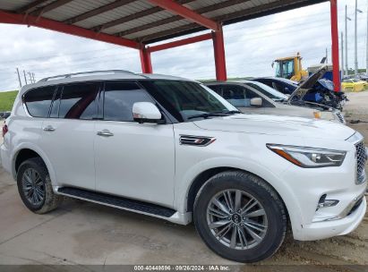 Lot #2997778032 2023 INFINITI QX80 LUXE