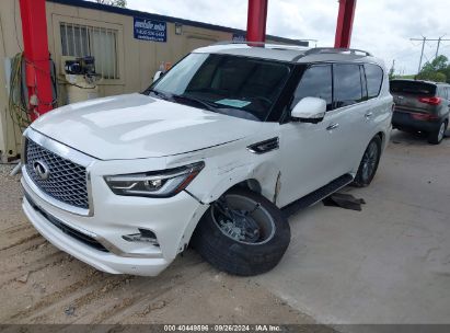 Lot #2997778032 2023 INFINITI QX80 LUXE