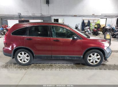 Lot #3035077380 2009 HONDA CR-V EX