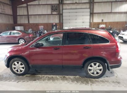 Lot #3035077380 2009 HONDA CR-V EX