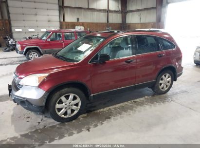 Lot #3035077380 2009 HONDA CR-V EX