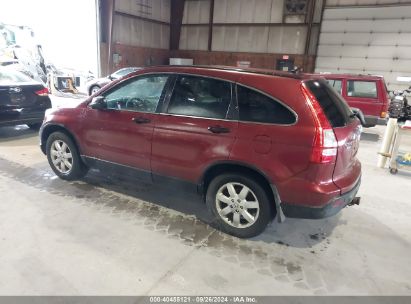 Lot #3035077380 2009 HONDA CR-V EX