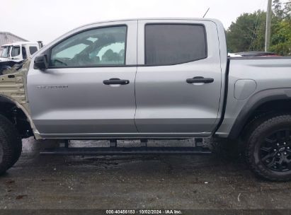 Lot #2996534961 2024 CHEVROLET COLORADO 4WD TRAIL BOSS