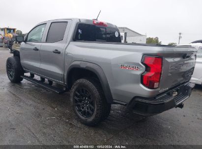 Lot #2996534961 2024 CHEVROLET COLORADO 4WD TRAIL BOSS