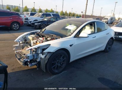 Lot #2992820512 2023 TESLA MODEL 3 REAR-WHEEL DRIVE