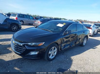 Lot #2996534923 2023 CHEVROLET MALIBU FWD LS