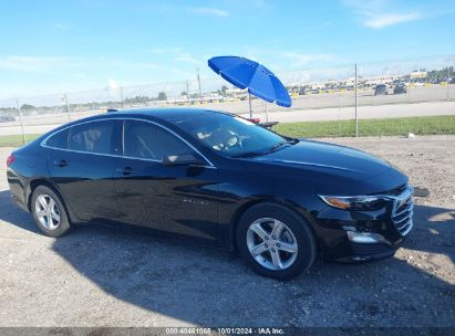 Lot #2996534923 2023 CHEVROLET MALIBU FWD LS