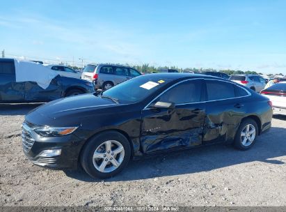 Lot #2996534923 2023 CHEVROLET MALIBU FWD LS