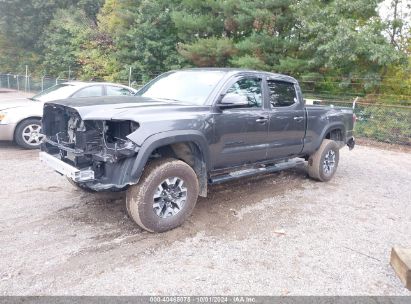 Lot #2992827075 2023 TOYOTA TACOMA TRD OFF ROAD