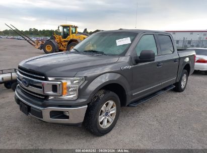 Lot #3034472446 2018 FORD F-150 XLT