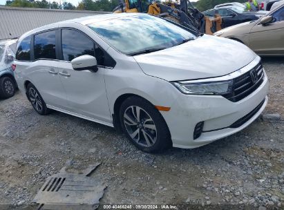 Lot #2997777161 2023 HONDA ODYSSEY TOURING