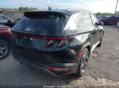 Lot #2996534867 2023 HYUNDAI TUCSON LIMITED