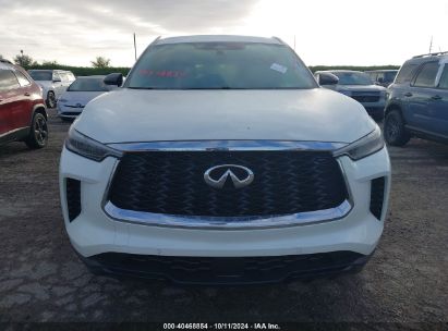 Lot #2996534831 2023 INFINITI QX60 LUXE