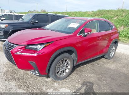 Lot #2992827215 2021 LEXUS NX 300