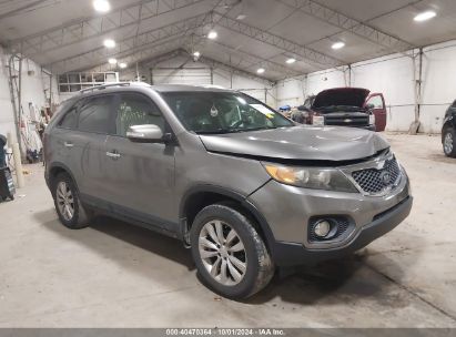 Lot #2996534804 2011 KIA SORENTO EX