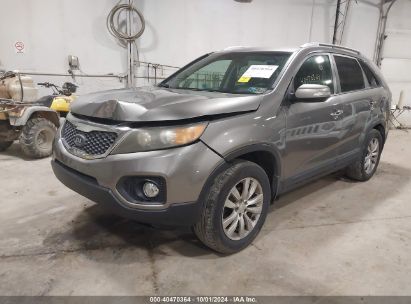 Lot #2996534804 2011 KIA SORENTO EX