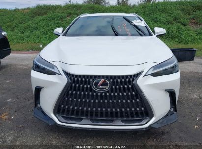 Lot #3010287915 2023 LEXUS NX 250