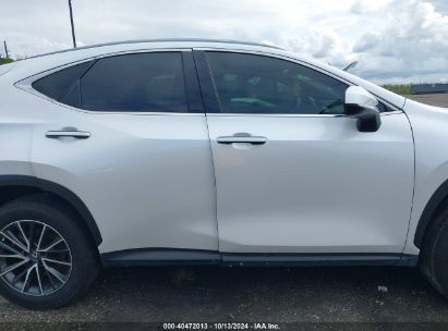 Lot #3010287915 2023 LEXUS NX 250