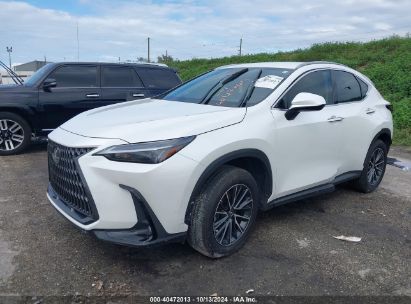 Lot #3010287915 2023 LEXUS NX 250