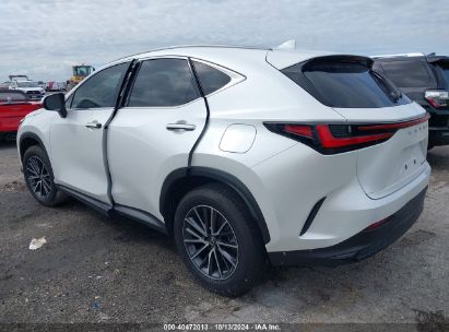 Lot #3010287915 2023 LEXUS NX 250