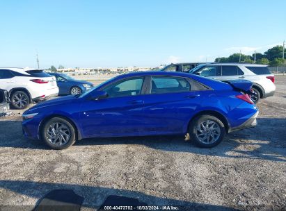 Lot #2996534751 2024 HYUNDAI ELANTRA SEL