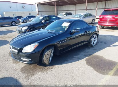 Lot #3037532849 2013 MERCEDES-BENZ SLK 350