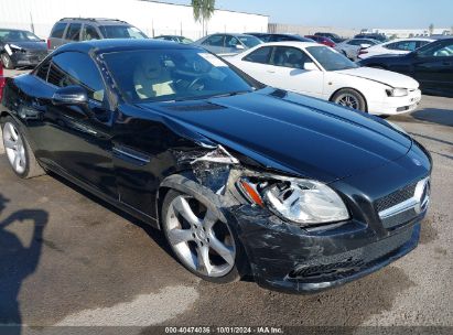 Lot #3037532849 2013 MERCEDES-BENZ SLK 350