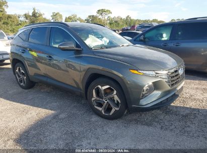 Lot #2996534730 2023 HYUNDAI TUCSON SEL